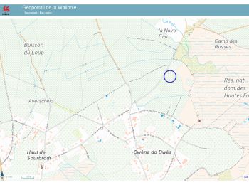 Tour Wandern Weismes - 20241014 - Waimes 7.5 Km - Photo