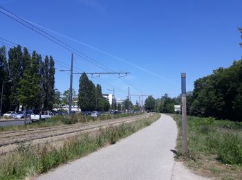 Percorso Bici da strada Watermael-Boitsfort - Watermaal-Bosvoorde - 2020.05.29.V.Senne.13 - Photo