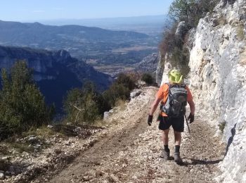 Trail Walking Châtelus - la grande cournouse - Photo