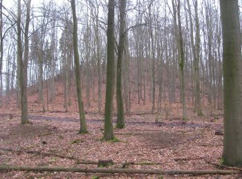 Tour Zu Fuß Vellmar - Vellmar, V5 - Staufenbergweg - Photo