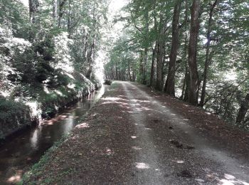 Trail Walking Verdun-en-Lauragais - Rando BDM-Cammazes-BDM - Photo