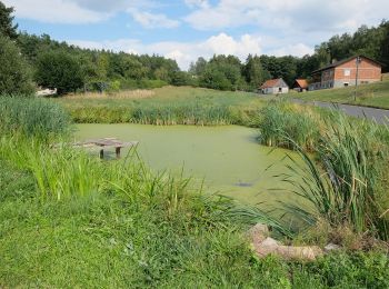 Tocht Te voet Hirschau - Rundwanderweg Massenricht - Photo