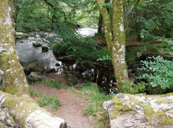 Trail Walking Tarnac - Fred moulins et rochers  - Photo