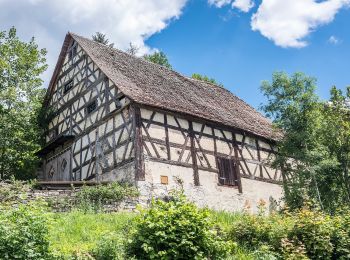 Percorso A piedi Gräfenberg - Rundweg Weißenohe Hohenschwärz - Photo