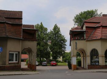 Excursión A pie Lübben (Spreewald) - Wanderweg Lübben-Biebersdorf-Groß Leuthen - Photo