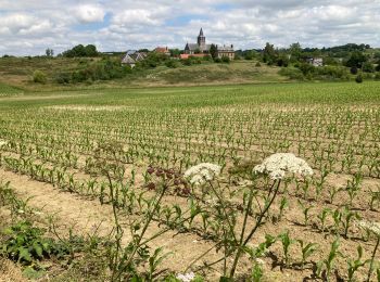 Tocht Stappen Mauquenchy - Mauquenchy - Photo