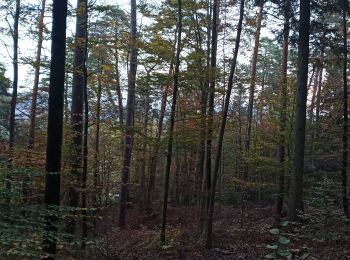 Tocht Stappen Fouchy - Découverte de Fouchy - Photo