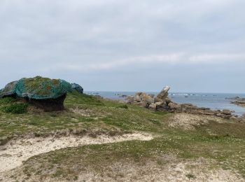 Trail Walking Plounéour-Brignogan-Plages - Pour Menez-ham  - Photo