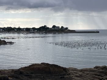 Tocht Lopen Assérac - De Pen Bé à Trehiguier (37k 335D+) - Photo