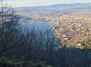 Trail Walking Annecy - Boucle  VEYRIER - Photo