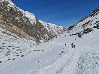 Tocht Sneeuwschoenen Aragnouet - Piau-Engaly: Neste de Badet, lac de Badet (boucle) - Photo