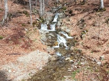 Tour Wandern Saint-Sauveur-Camprieu - VALLEE DU BONHEUR (Court) - Photo