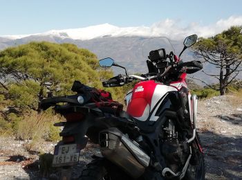 Excursión Motocross Lentegí - Lentegi Vélez de Benaudalla - Photo