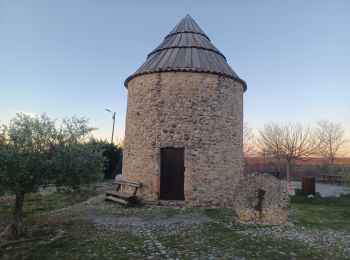 Tour Wandern Puimichel - PUIMICHEL.  AUTOUR DE PUIMICHEL . O . L - Photo