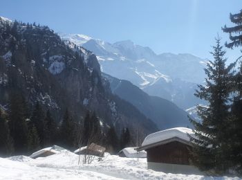 Tour Schneeschuhwandern Passy - 05-03-2022 Plaine Joux - Chalet du Souay - Photo