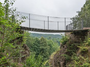 Randonnée A pied Bad Liebenstein - Pfeifenweg - Photo