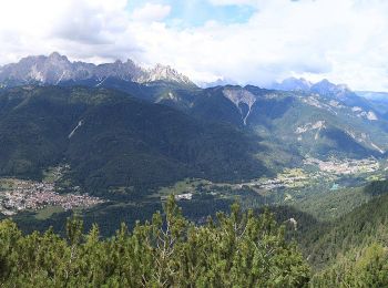 Percorso A piedi Domegge di Cadore - IT-345 - Photo