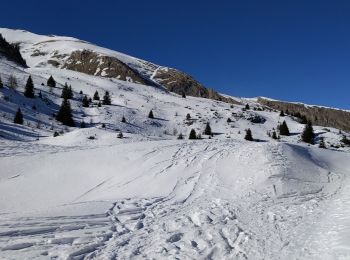 Tocht Sneeuwschoenen Le Dévoluy - Super  - Photo