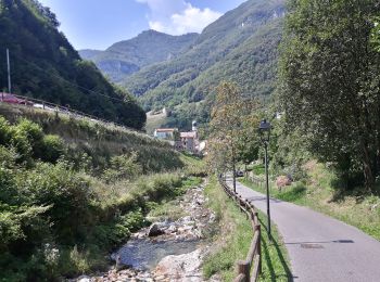 Trail On foot Selva di Progno - Giazza - Colonia estiva - nei pressi passo Zevola - inn. sent. 202 - Photo