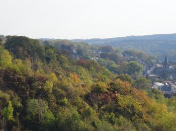 Randonnée Marche Namur - Balade dans les anciennes carrières d'Asty-Moulin - Photo
