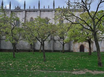 Percorso A piedi Burgos - Paseos por el Cinturón Verde: Cartuja de Miraflores - Photo