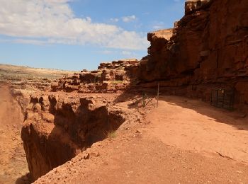 Excursión 4x4  - Spring canyon - Photo