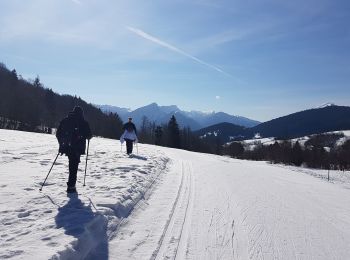 Randonnée Raquettes à neige Entremont-le-Vieux - Le Col du Mollard  - Photo