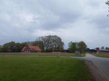 Tour Zu Fuß Heiden - Nordic Walking Quellenroute Heiden rot - Photo