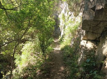 Tour Wandern Caudiès-de-Fenouillèdes - ND de lavall - Photo