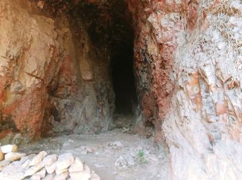 Excursión Senderismo Le Muy - les grottes Baume Renaude - Photo