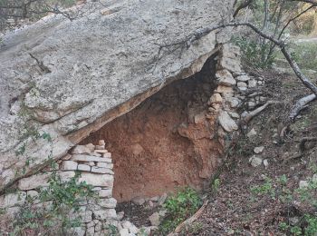 Trail Walking Saumane-de-Vaucluse - Saumane boucle Vigie . Valescure  - Photo