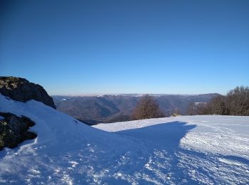 Tour Schneeschuhwandern Oberburbach - Sortie raquettes Hundsruck Belacker - Photo