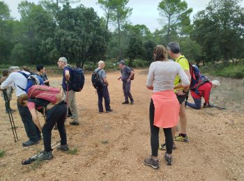 Trail Walking Cotignac - cotignac - Photo