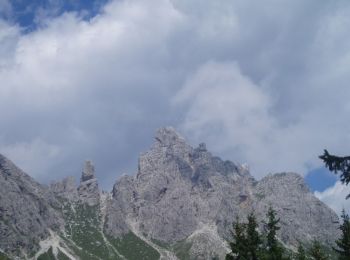 Tour Zu Fuß Lozzo di Cadore - IT-272 - Photo