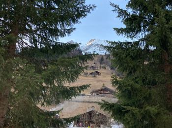 Randonnée Raquettes à neige Flumet - La tête du Torraz ( ballade 18) - Photo