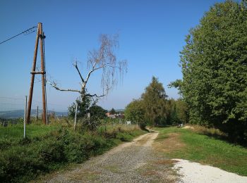 Randonnée A pied Leibnitz - Kaindorfer Genussplatzrunde - Photo