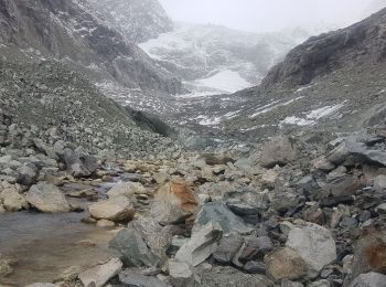 Excursión Senderismo Evolène - glacier mont miné  - Photo