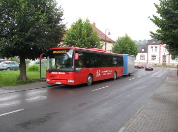 Tocht Te voet Wanfried - Frankenloch und Werraaue - Photo