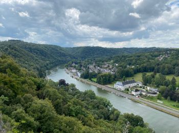 Excursión Senderismo Hastière - GRP 125 : Les crêtes de la Meuse (Hastière) - Photo