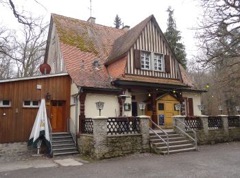 Trail On foot Butzbach - Wanderwege Hausberg - Eichenblatt - Photo