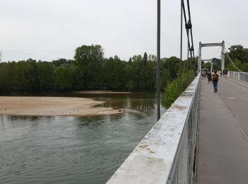 Tocht Ezelwandeling Tours (Indre-et-Loire) - test nouvelle interface - Photo