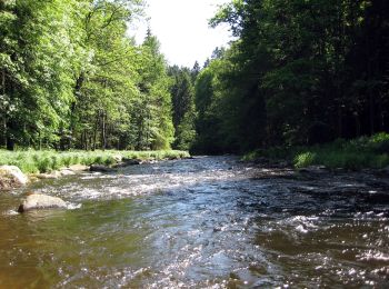 Randonnée A pied Fürsteneck - Fürstenecker Triftsteig - Photo