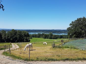 Randonnée A pied Riedering - Simsseewanderweg - Photo