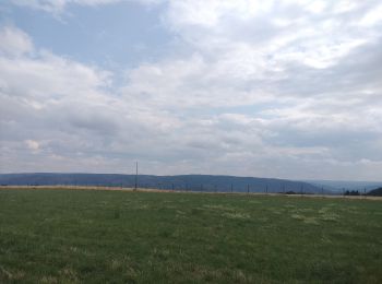 Tour Wandern Nideggen - Rursee lac et bois - Photo