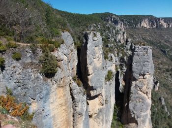 Excursión Senderismo Le Rozier - Les corniches des gorges de la Jonte et du Tarn - Photo