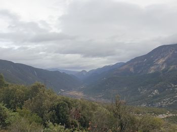 Tocht Stappen Mollans-sur-Ouvèze - La montagne de Bluye par Saint-leger du Ventoux  - Photo