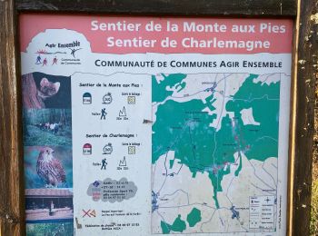 Tour Wandern Contréglise - Sentier de Charlemagne  - Photo