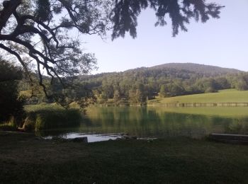 Tocht Wegfiets La Ravoire - lac de la Thuile Curienne, St Jean d'Arvey - Photo