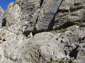 Trail Climbing Pralognan-la-Vanoise - Arête Ouest de l'aiguille du petit Arcelin - Photo