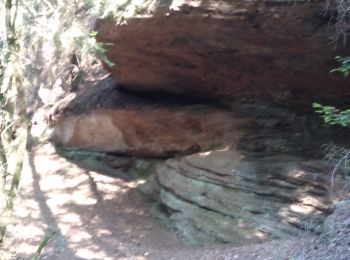 Excursión Senderismo Raon-l'Étape - La trouche gauche - Photo